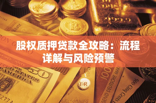 济南股权质押贷款全攻略：流程详解与风险预警