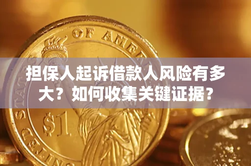 济南担保人起诉借款人风险有多大？如何收集关键证据？
